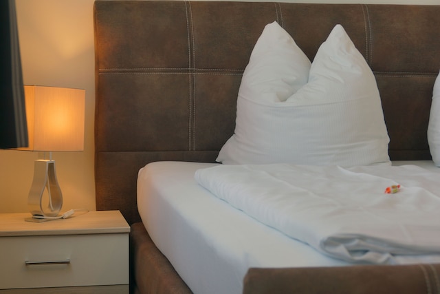 パノラマガストホフ ダックスリュッフ