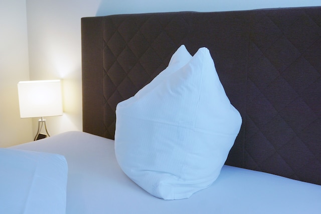 パノラマガストホフ ダックスリュッフ