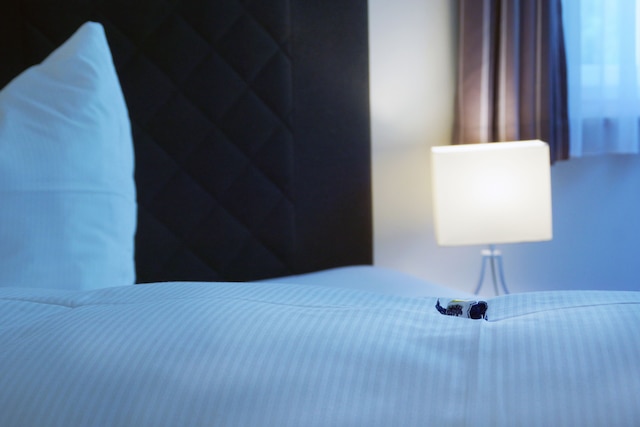 パノラマガストホフ ダックスリュッフ