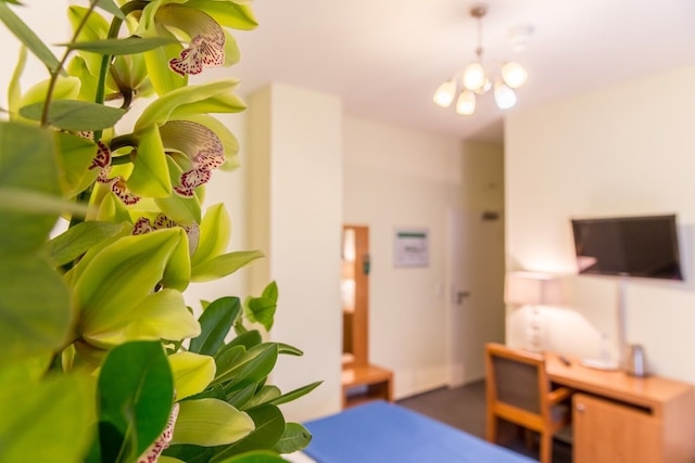 ホテル エクスポ フランクフルト シティセンター