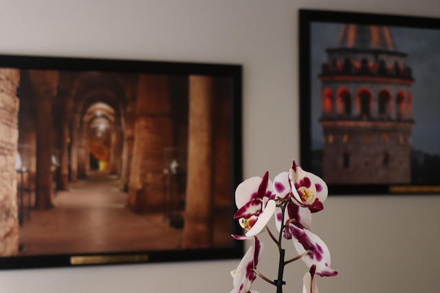 レシタル ホテル