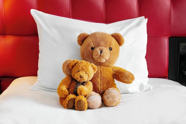 クラウン プラザ アムステルダム サウス by IHG