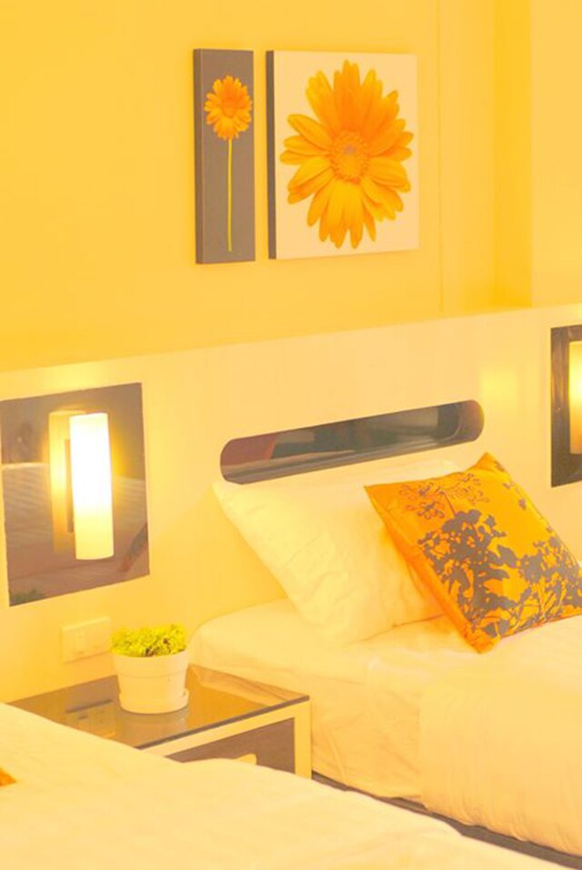 ジ イン サラデン