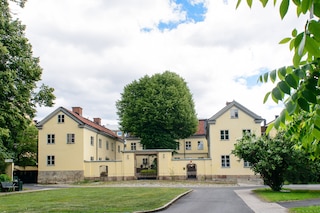 ヘルステンズ マンゴード