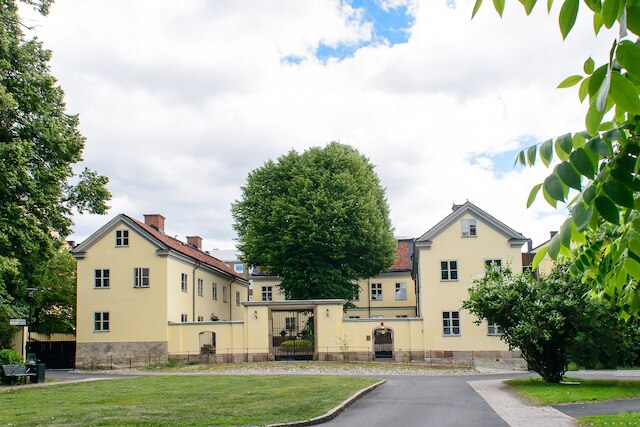 ヘルステンズ マンゴード