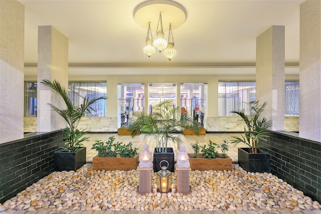 ジンジャー ドナ ポーラ