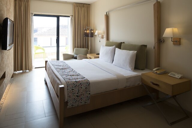 ジンジャー ドナ ポーラ