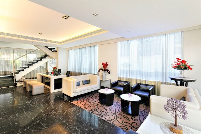 ジンジャー ドナ ポーラ