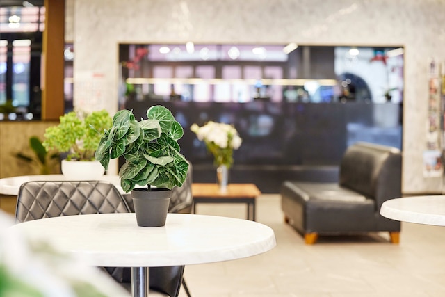 アロー オン スワンストン