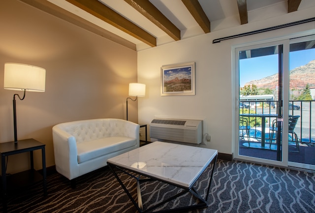 ドリームキャッチャー イン オブ セドナ