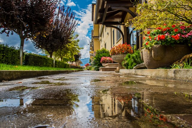 マジック ホテル