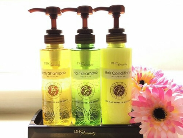 ホテルリブマックスBUDGET川崎駅前