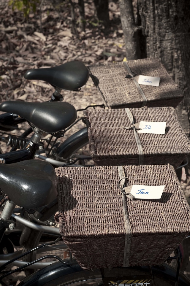 パシャン ガール パンナ ナショナル パーク