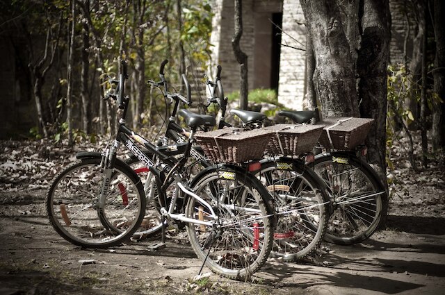 パシャン ガール パンナ ナショナル パーク