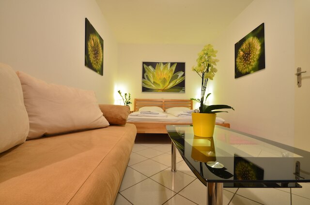 アヨ ウィーン ガーデン - コンタクトレス チェックイン