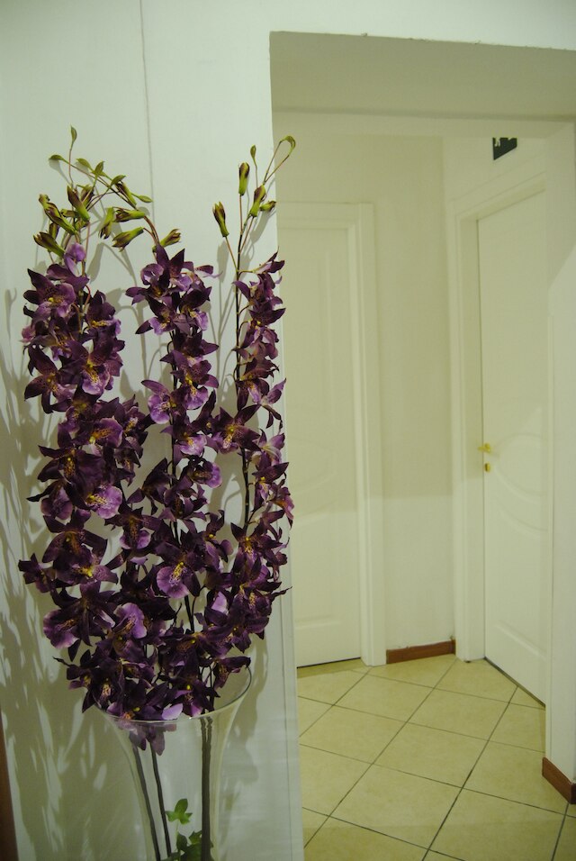 アデライデ ハウス