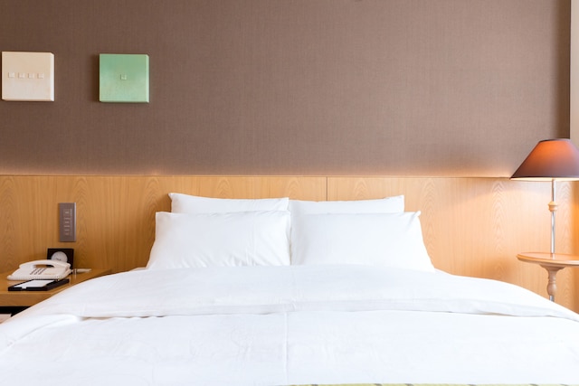 松本丸の内ホテル