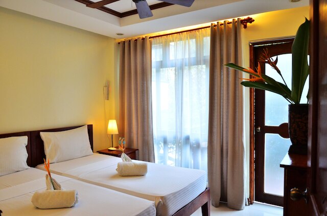 イピル スイーツ エル ニド