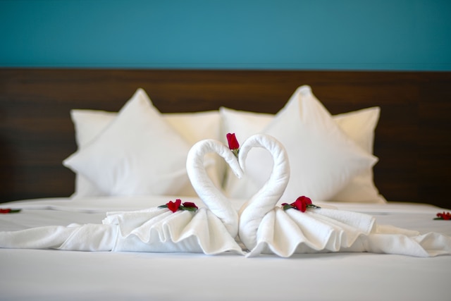 ホイアン ドリーム シティ ホテル