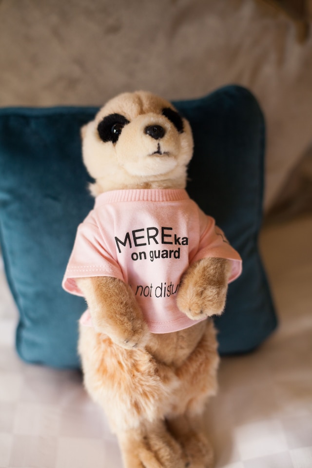 ザ ミア ゴルフ リゾート & スパ