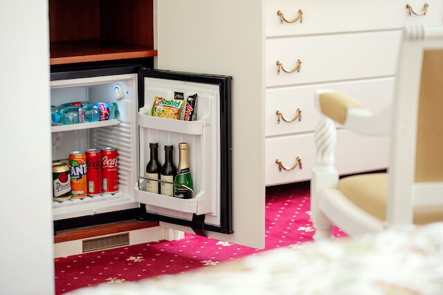 アルクシュ ダウンタウン ホテル