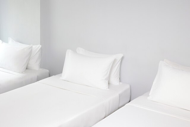 ナントラ シロム