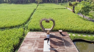 カジャネ ヤンロニ