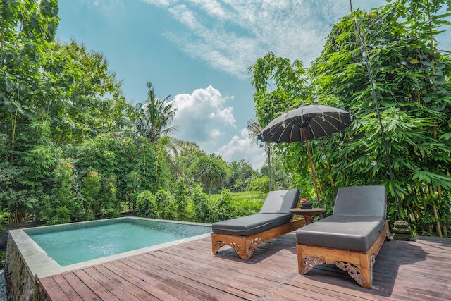 カジャネ ヤンロニ