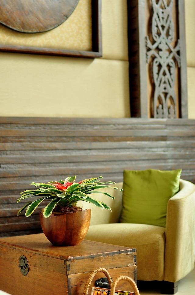 コクーン ブティック ホテル