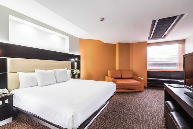 エグゼ シティーズ レフォルマ