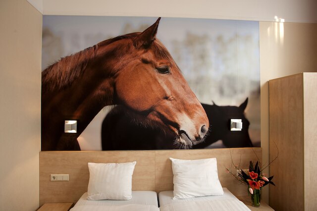 ホテル アイロン ホース