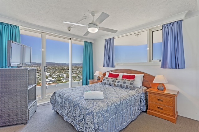 サザン クロス ビーチフロント ホリデイ アパートメンツ