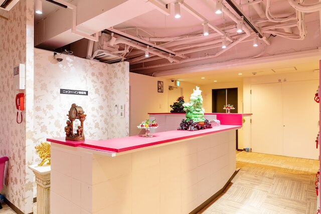 Nikko Inn Minamisenba 401