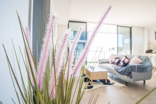 活気のあるベッドルーム 2 室、バスルーム 1 室、マスコット アパートメント