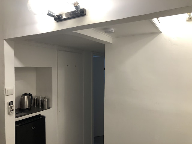 ハヤーコン 70 1