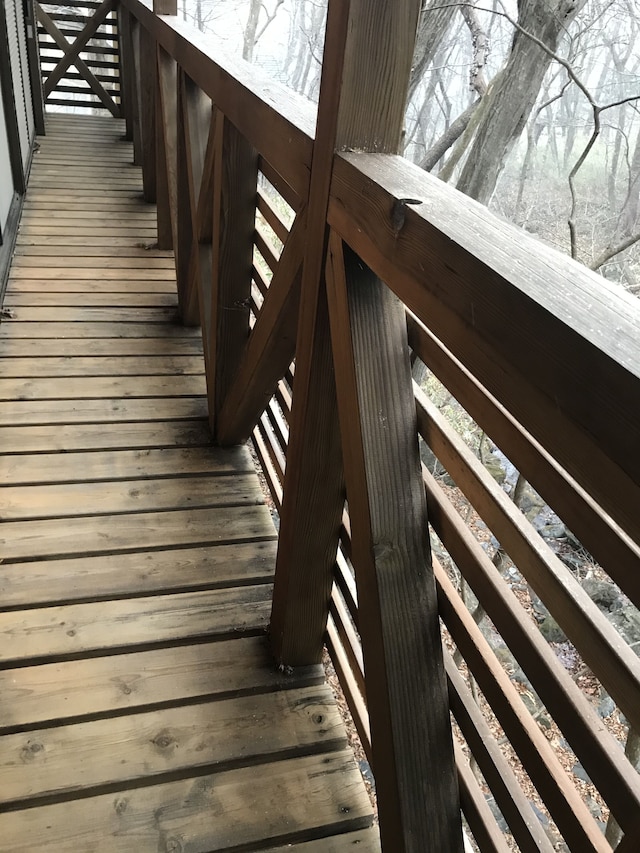 小川のせせらぎ、小鳥のさえずり、ハイランドパーク至近。那須の休日。