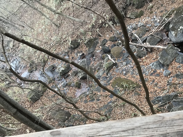 小川のせせらぎ、小鳥のさえずり、ハイランドパーク至近。那須の休日。