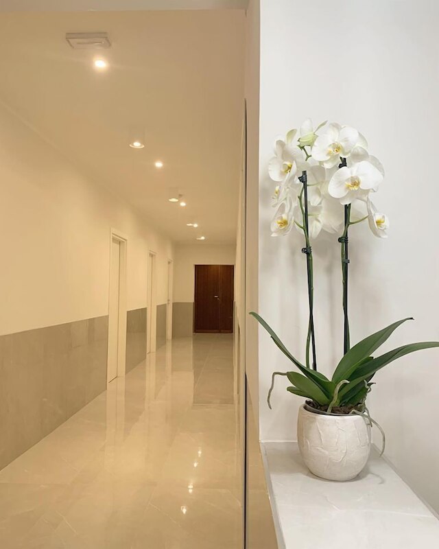 ナツィオナーレ スイート