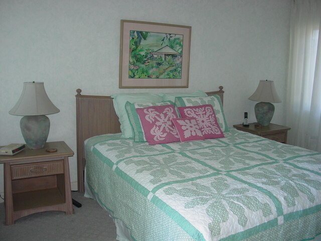 ビスタ ワイコロア E105