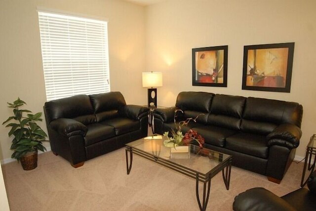 ベランダ パームス IHR 3084