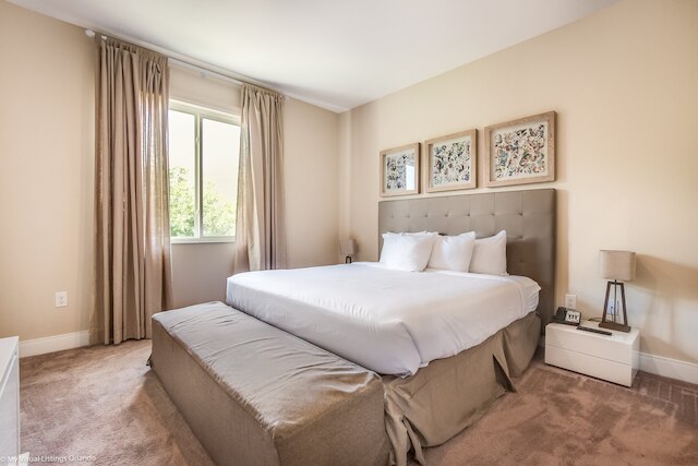 3139 ブラシリア