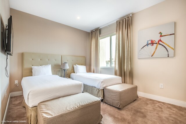 3139 ブラシリア