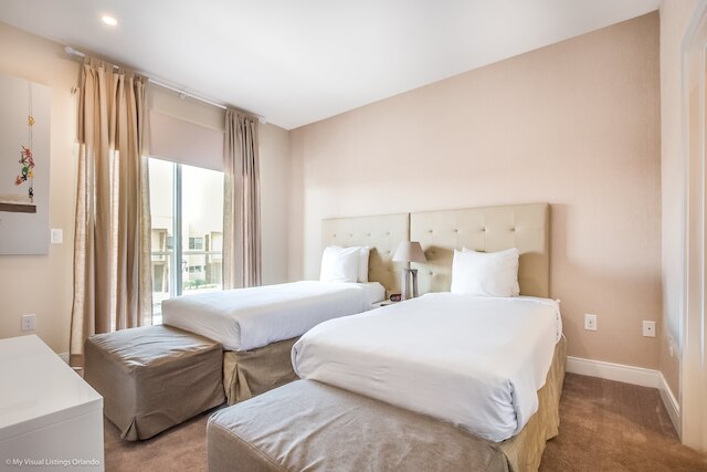 3139 ブラシリア