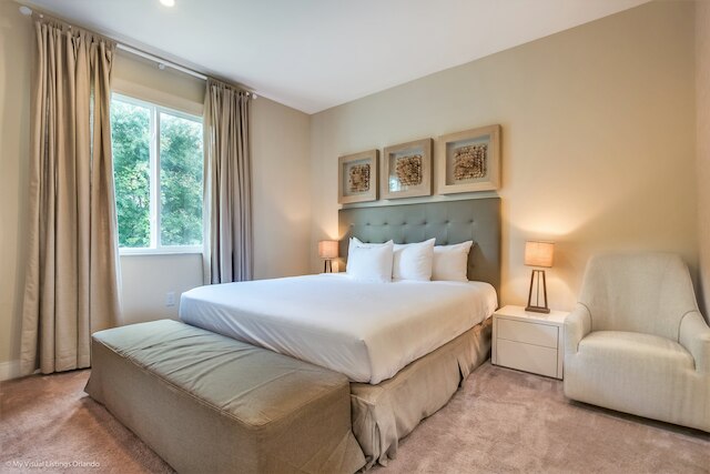 3139 ブラシリア