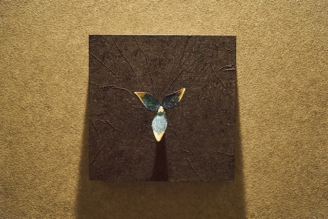 凜庵 LIAN_KANAZAWA