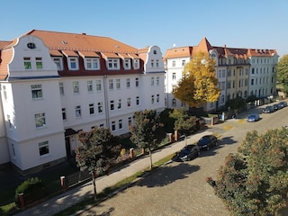 ドレスデナー  タグ メリッサ