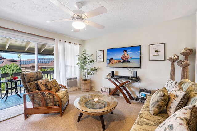 コナ ショアーズ 221 SタVル N#.19-390879