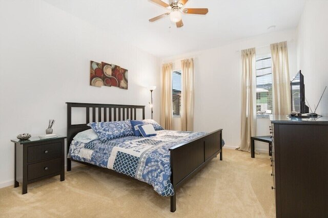 ベランダ パームス 2647