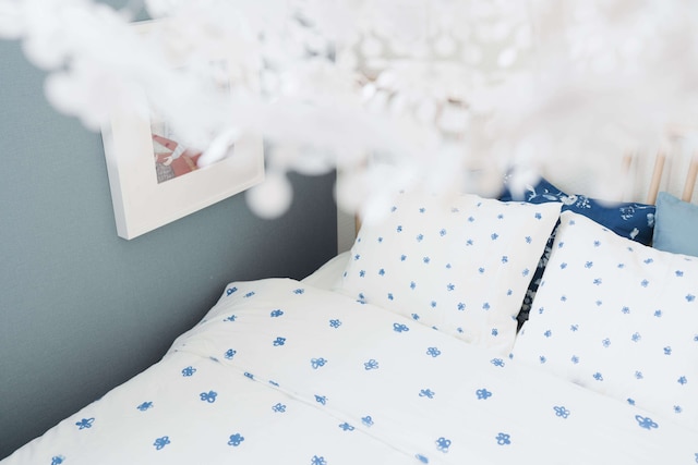 Starry Night Dreams of Stars House