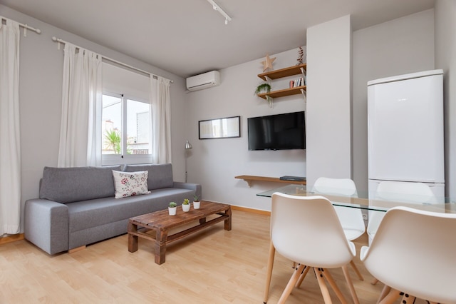 フラテリ ロジャー 16